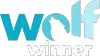 wolf-winner-online.top